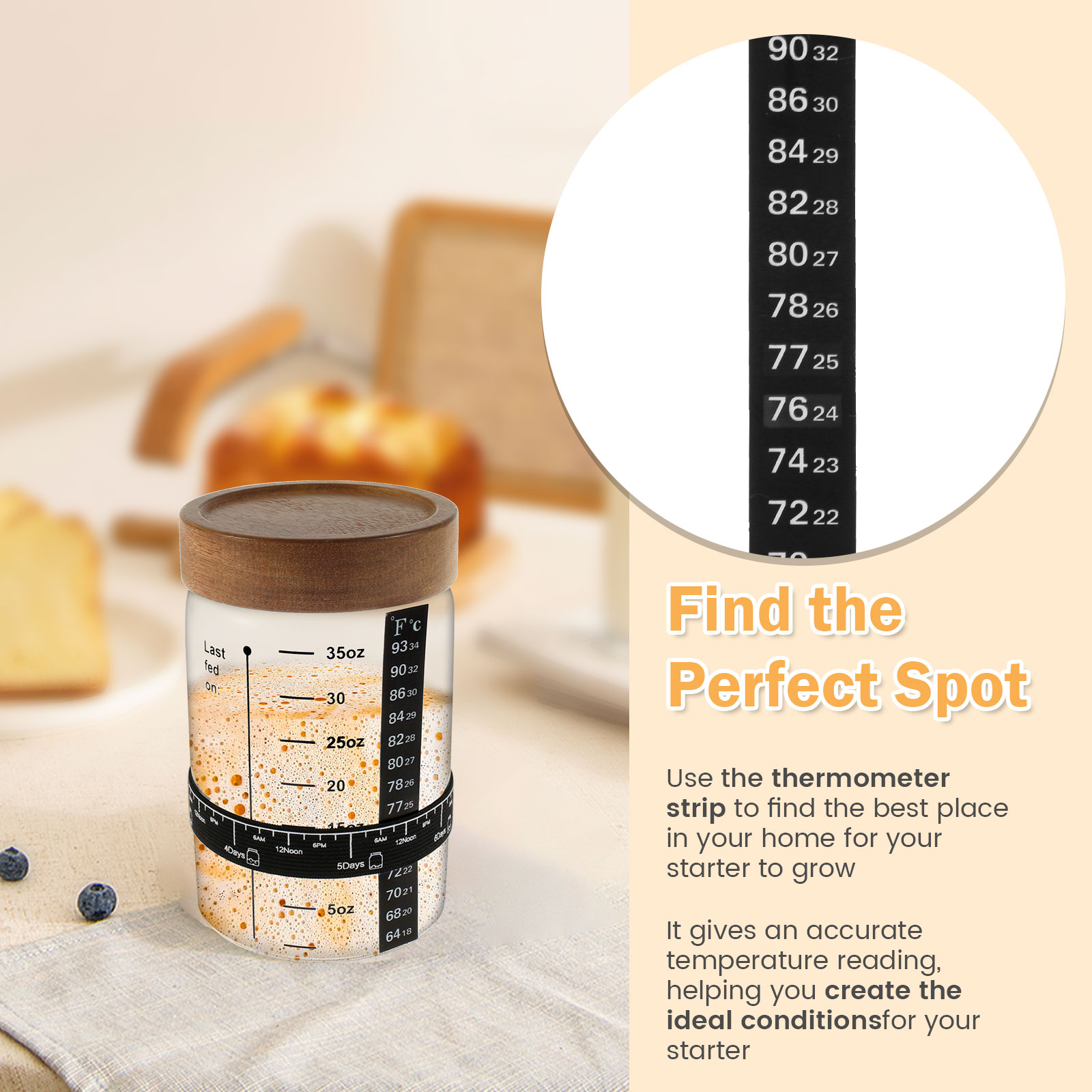 Sourdough Starter Jar Kit 1000 - Kitchen Baking Containers avis et prix